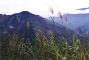 South part of Baliem Valley. Papua,  Indonesia.