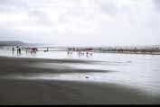 The longest beach at Cox's Bazar. It is along about 30 kilometers. Bangladesh.