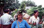 Flower selling at railway station. Area around Kalaw village. Myanmar (Burma).