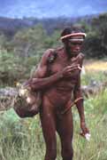 Villager from Dani tribe carries sweet potatoes in basket from orchid fibres. Papua,  Indonesia.