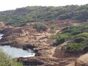 Tipaza town. Algeria.