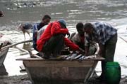 Fish market, Awasa lake. South, Ethiopia.