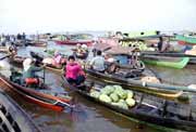 Floating market in Banjarmasin. Kalimantan,  Indonesia.