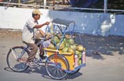 Coconut seller at Ujung Pandang town. Indonesia.