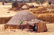 Tuareg tent at the edge of town Timbuktu (Tombouctou). Mali.