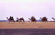 Nomad Tuaregs. Sahara desert. Mali.
