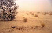Sandy storm. Sahara desert. Mali.