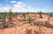 Red desert near Yulara town. Australia.