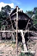 Traditional mentawai house. Siberut island. Indonesia.