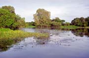 Yellow Water river. Kakadu National park. Australia.