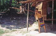 Punan tribe use for hunting blowpipes. Cultural village near Kuching. Sarawak,  Malaysia.