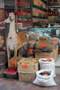 Shop with traditional chinese medicine. Hong Kong.