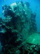 Diving around Togian islands, Kadidiri, plane wreck B24 from the 2nd World War sunken on Mai 3rd, 1945. Indonesia.