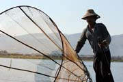 Traditional fishing, Inle Lake. Myanmar (Burma).