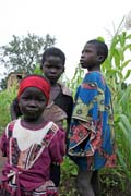 Children from Somba tribe (also called Betamaribé people). Boukoumbé area. Benin.