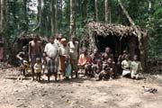 Pygmy village down to the Lobe River. The Pygmy people are forest dwellers, know the forest, its plants and its animals. They live by hunting animals such as antelopes, pigs and monkeys, fishing, and gathering honey, wild yams, berries and other plants. Cameroon.
