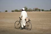 On the way to the Lake Chad. Cameroon.