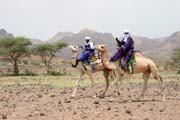 Tuaregs still travel on the camels. Air Mountain area. Niger.