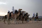 Preparing for camel race at traditional tuareg wedding party. Air Mountain area. Niger.