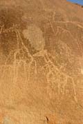 Historical paintings at Sahara desert at Zarzen area. They show typical African animals which lived there many years ago when enough grass and water was here. Niger.
