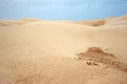 Sand dunes at south coast of Socotra (Suqutra) island. Yemen.