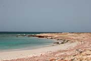 North coast of Socotra (Suqutra) island at Dihamri Marine Protected Area. Yemen.