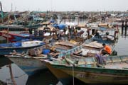 Fish harbor at the edge of Al-Hudayda town. Traditional dhow boats (arabic sailboats) are very colorful. Yemen.