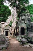 Ta Prohm - temple in jungle. Angkor Wat area. Cambodia.