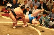 Sumo wrestlers at action. Tokyo. Japan.