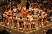 Introduction of Sumo wrestlers. Tokyo. Japan.