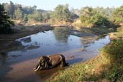 Elephant bath. Camp with working elephants. Taungoo town area. Myanmar (Burma).