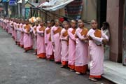 Young girl monks, Yangon. Myanmar (Burma).