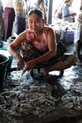 Fish market, Sittwe town. Myanmar (Burma).