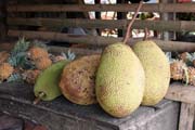 Jackfruit, market at Tomoho village. Indonesia.