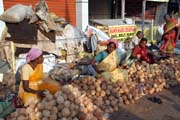 Coconut street vendors, Thiruvananthapuram (Trivandrum). India.