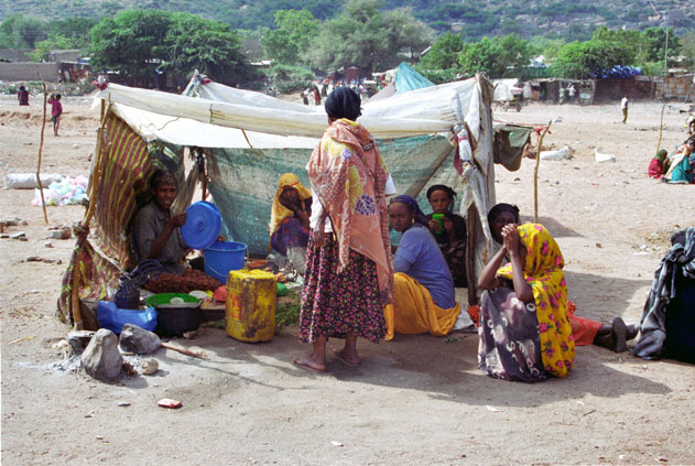 Local "snack" at Dire Dawa market. East,  Ethiopia.