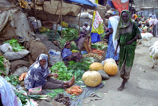 At the market at Dire Dawa. East,  Ethiopia.