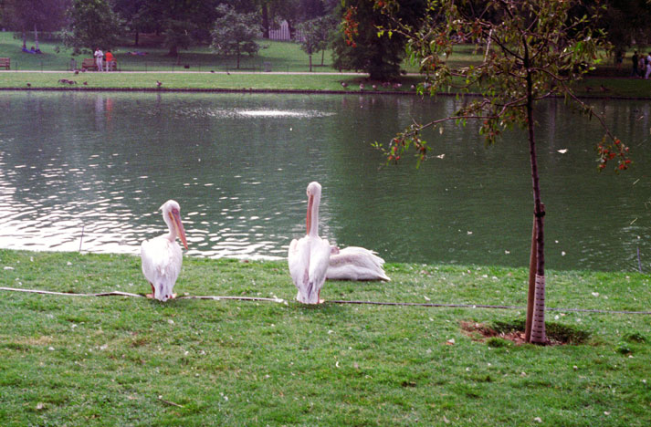 London. Great Britain.