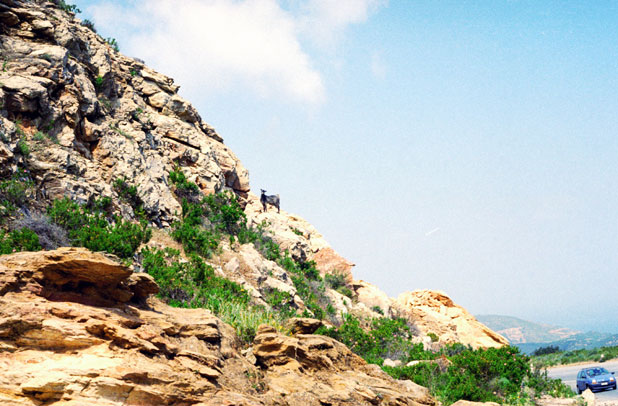 Kri Kri Gaot. Crete. Greece.