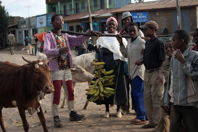 Banana sellers, Hosaina village. South,  Ethiopia.