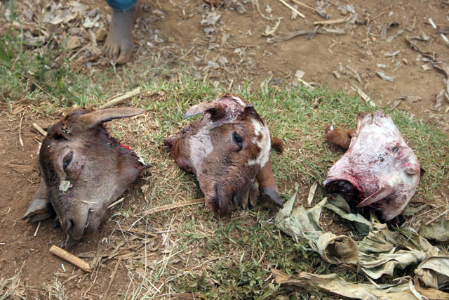 Meat sellers on the way to Yabelo. South,  Ethiopia.