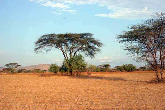 Area around Murle. South,  Ethiopia.