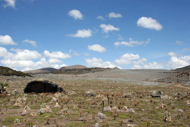 Landscape at Bale Mountain National Park. South,  Ethiopia.