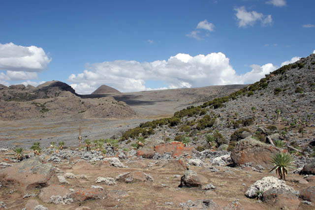 Landscape at Bale Mountain National Park. South,  Ethiopia.