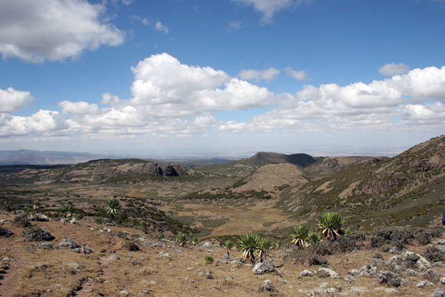 Landscape at Bale Mountain National Park. South,  Ethiopia.