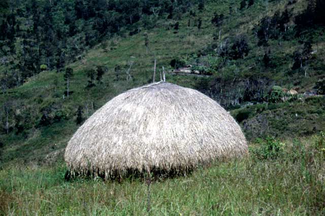 Dani hut. Papua,  Indonesia.