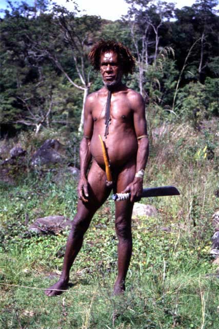 Villager from Dani tribe. Baliem Valley. Papua,  Indonesia.