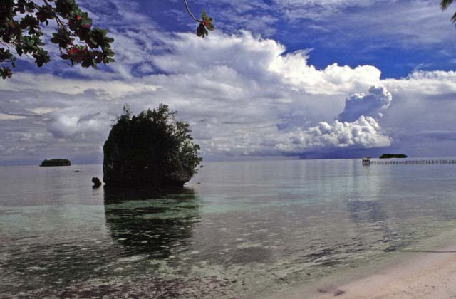Pulau Kadidiri, one of the many Togean islands. Sulawesi,  Indonesia.