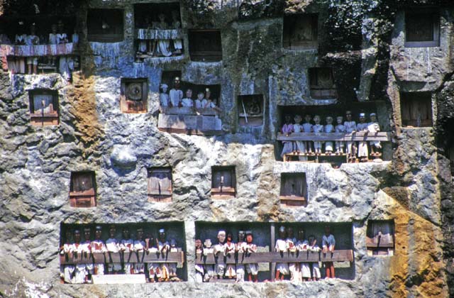 Traditional graves at Lemo village. Tau tau figures can be seen at galleries in front of graves. Tana Toraja area. Sulawesi,  Indonesia.
