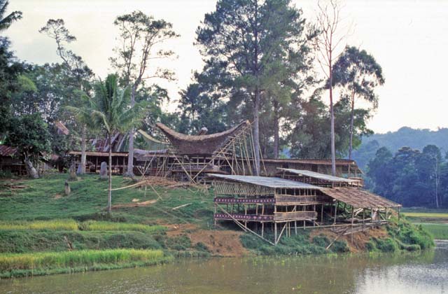 Funeral preparing - building bamboo pavilons for guests. Tana Toraja area. Sulawesi,  Indonesia.